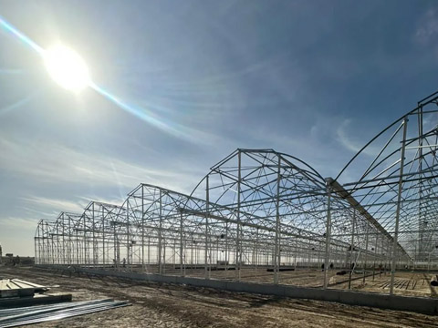 Agricultural greenhouse steel structure