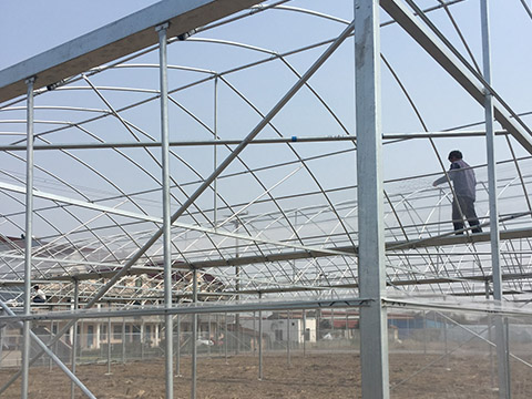 Galvanized round pipe for agricultural greenhouse