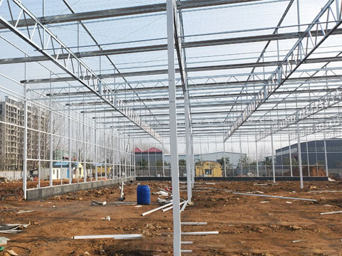 Agricultural Greenhouse