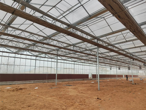 Agricultural greenhouse