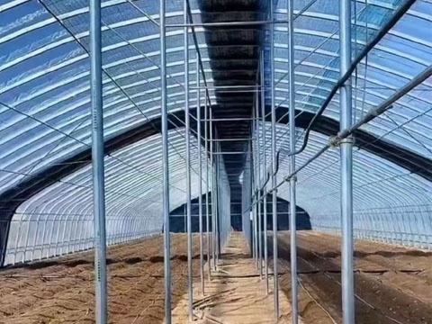 Agricultural greenhouse support structure