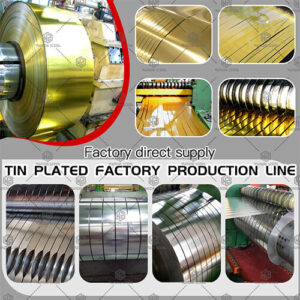 Tinned steel strip production line