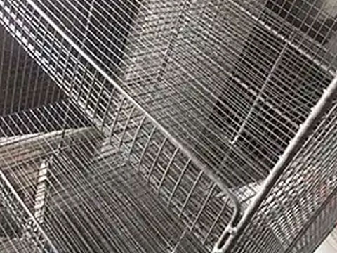 Isolation mesh