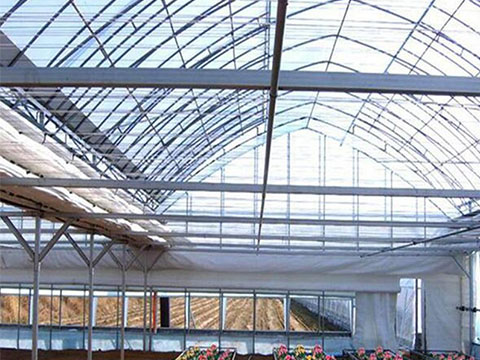 Greenhouse