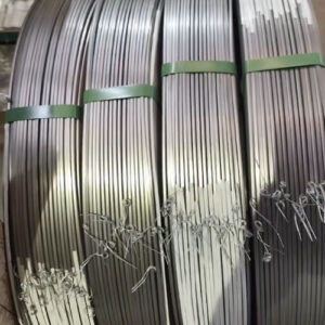 Mild Steel Strip