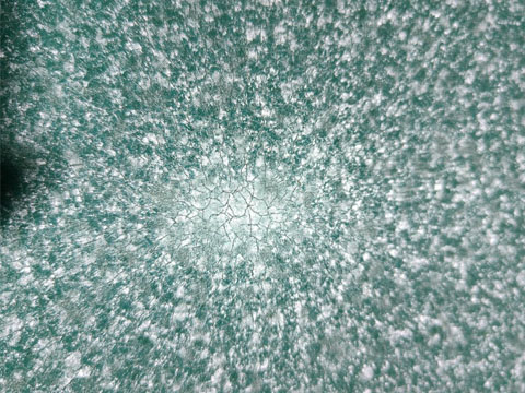 Texture Details