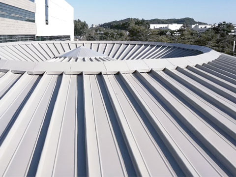 Stadium roof