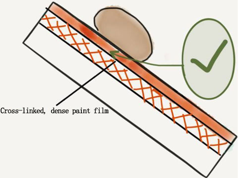 Cross-linked, dense paint film