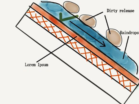 Hydrophilic surface