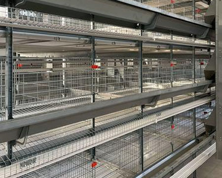 Poultry farming cages