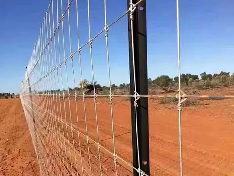 Livestock farming fencing