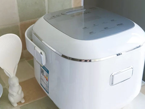 rice cooker