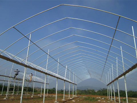 Greenhouse frame