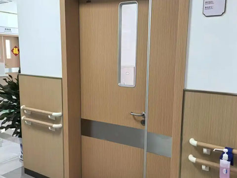 Wood grain steel door